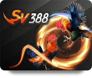 W88 พรีเมียร์ลีก: ความสำคัญของแฟนบอลต่อทีม